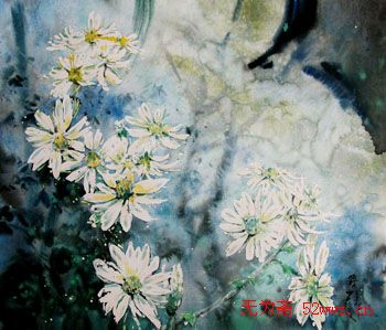 水彩画:野山菊