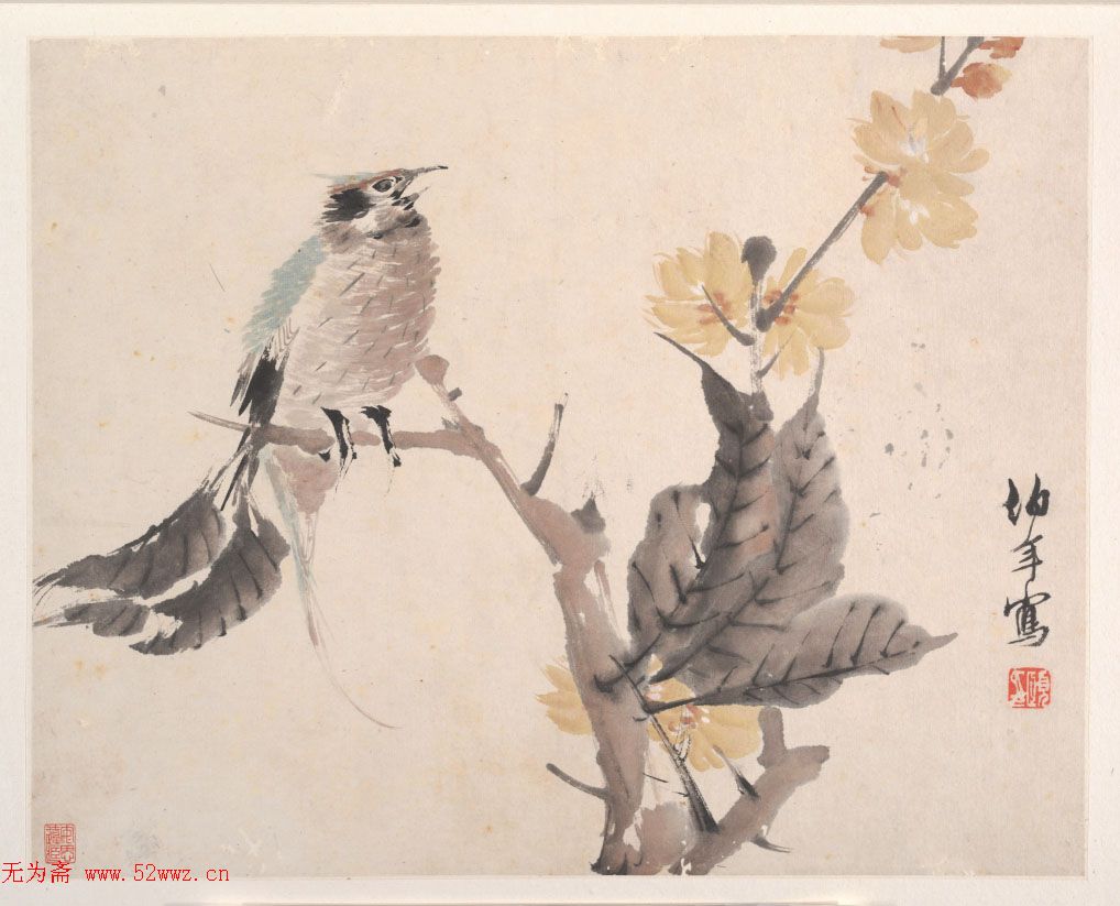 清代任颐绘画欣赏《花鸟蔬果册》 图2