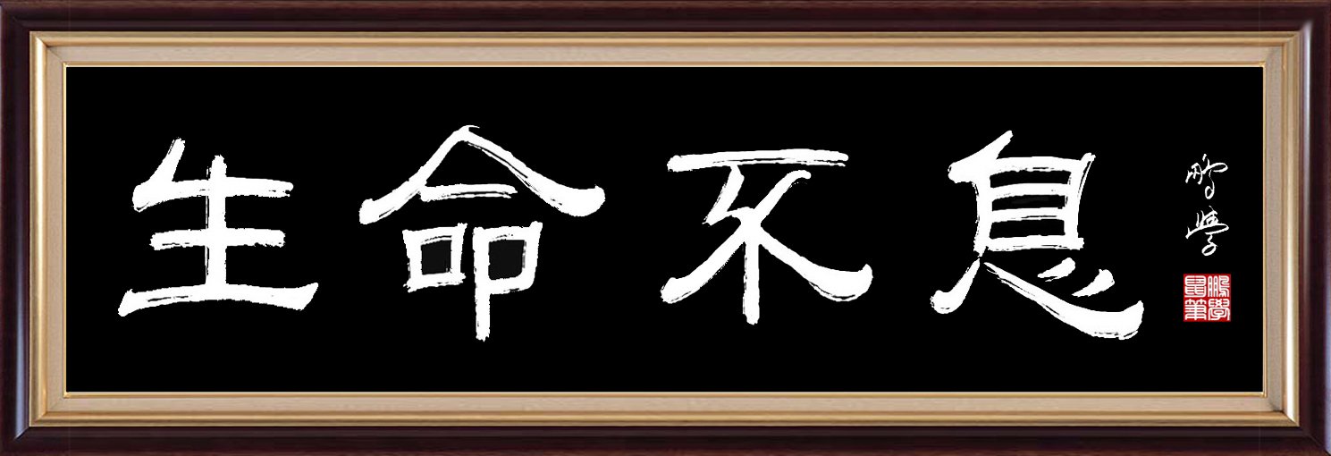 海阔中文网-字画原创-王朋学鼠标书法 图5