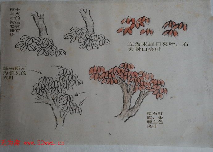 山水画中----夹叶的树法 图3