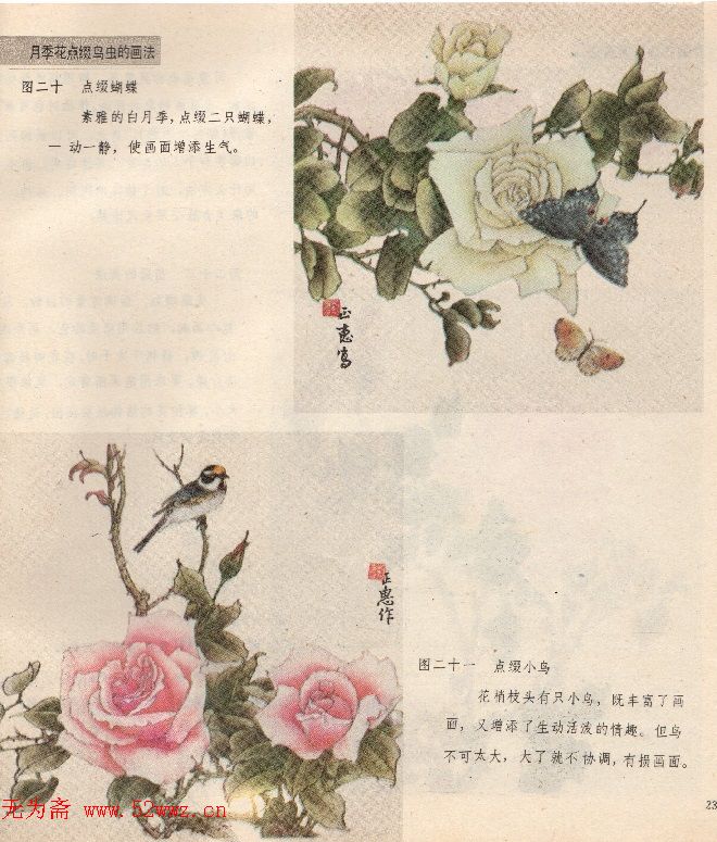 怎样画月季花（工笔，写意） 图2