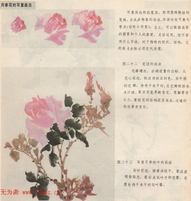 怎样画月季花（工笔，写意） 图1