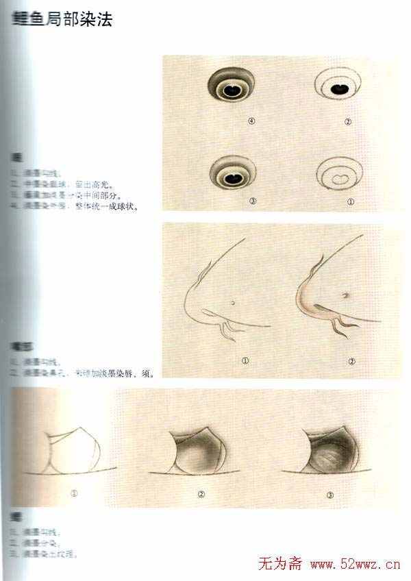 鲤鱼工笔画法步骤 图2