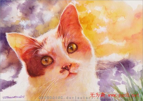 德国水彩画猫作品欣赏 图2